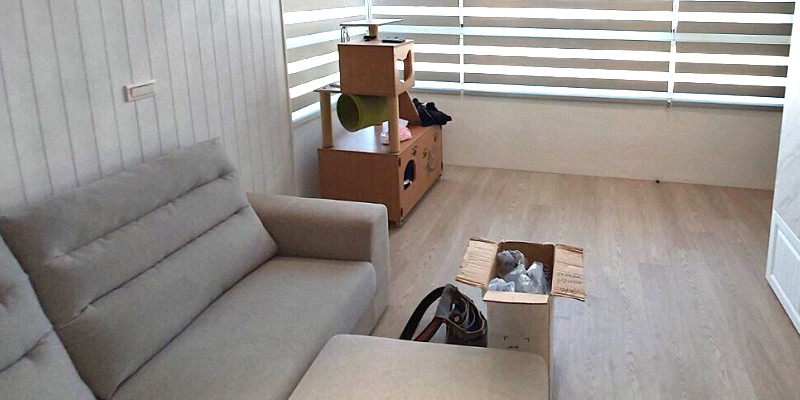 彰化木紋塑膠地板：臥室溫馨風格案例5