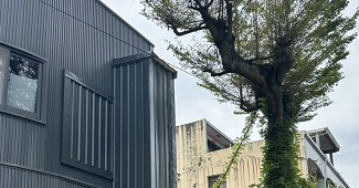 豐原鐵皮屋加蓋工程